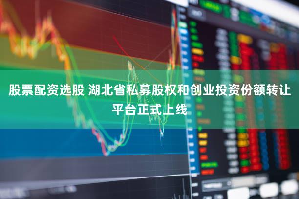 股票配资选股 湖北省私募股权和创业投资份额转让平台正式上线